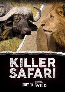 Affiche de Killer Safari
