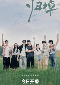 Affiche de The Way Home