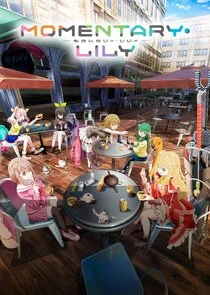 Momentary Lily poster