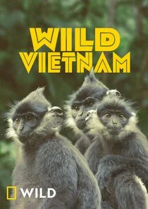 Affiche de Wild Vietnam