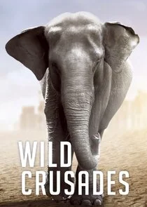 Affiche de Wild Crusades