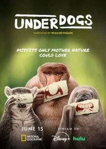 Underdogs poster