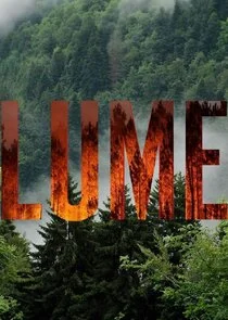 Poster di Lume