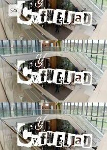 Poster di Y Cyfweliad