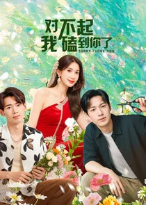 Sorry, I Love You Poster