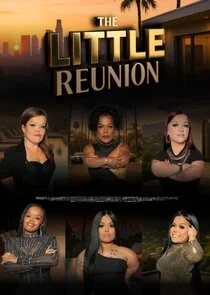 Poster di The Little Reunion
