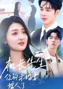 Ji Zhang Xian Sheng, Ni De Wei Hun Qi Jia Ren Le Poster