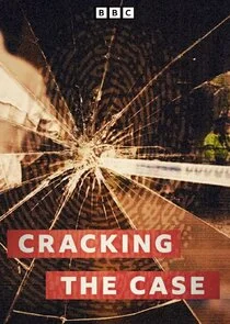Póster de Cracking the Case