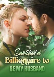 Snatched a Billionaire to Be My Husband poster