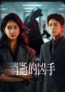 Gone Murderer poster