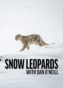 Affiche de Snow Leopards with Dan O'Neill