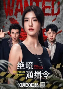Póster de Desperate Warrant