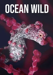 Poster di Ocean Wild