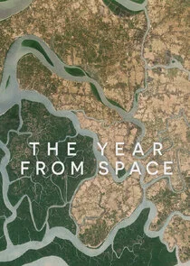 The Year From Space Poster