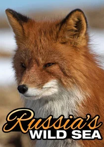 Affiche de Russia's Wild Sea