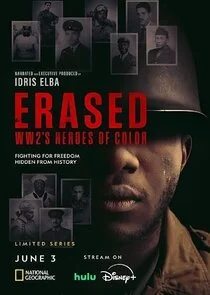Erased: WW2's Heroes of Color poster