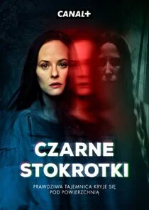 Czarne stokrotki poster