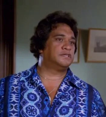 Detective Truck Kealoha