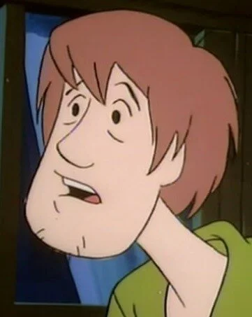 Shaggy Rogers