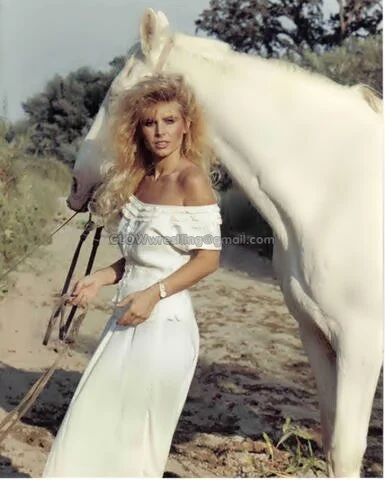 Tara the Southern Belle