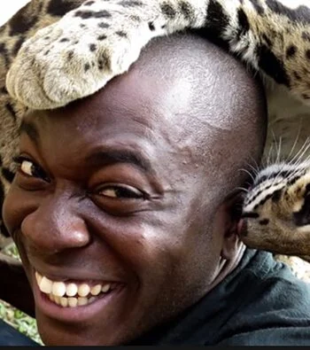 Big Cats: An Amazing Animal Family