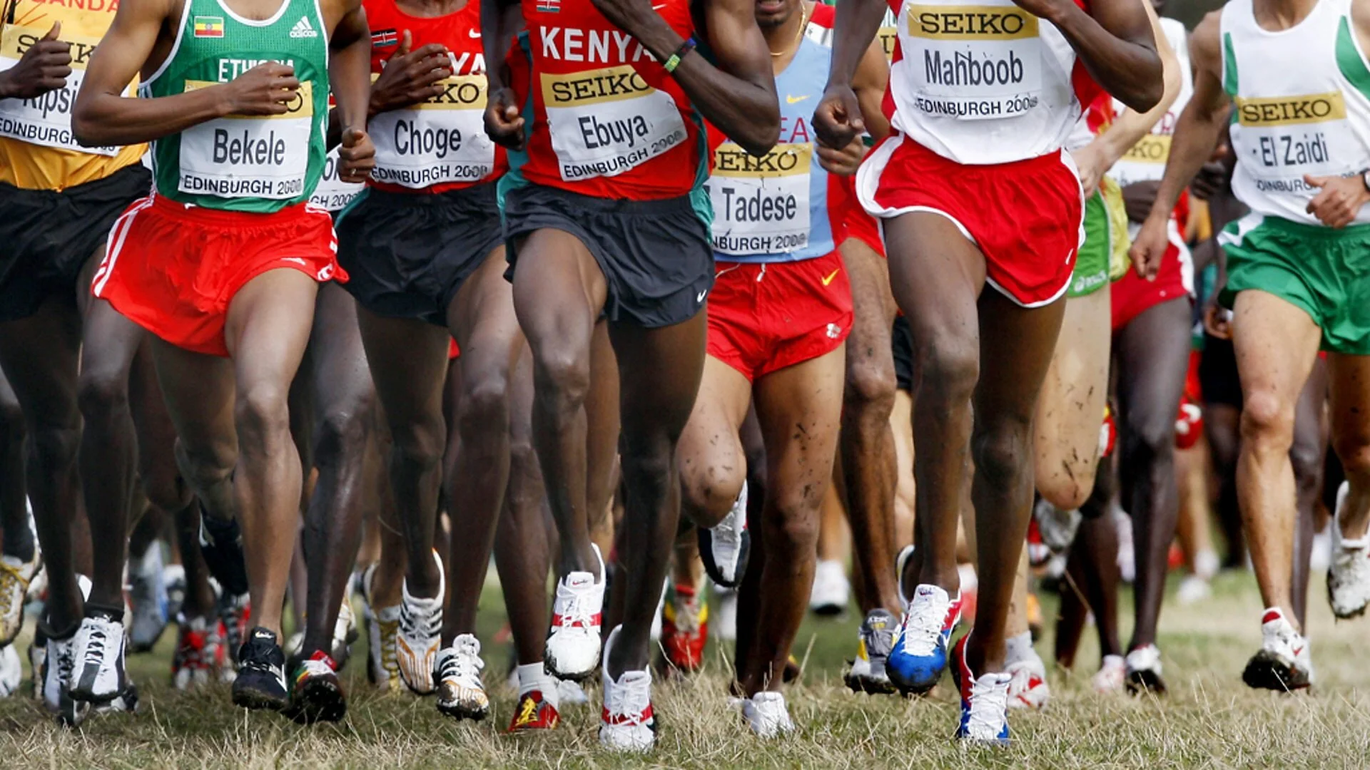 Great Edinburgh International Cross Country