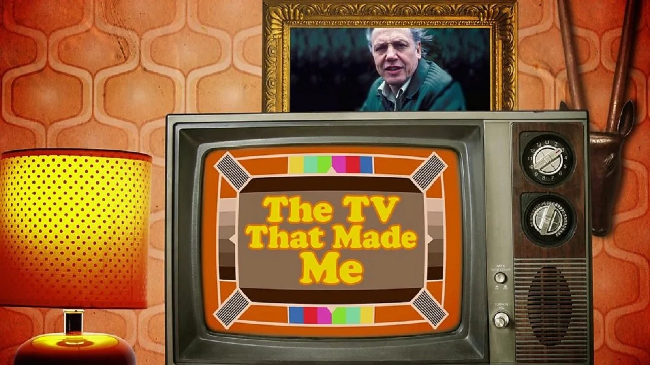 The TV That Made Me