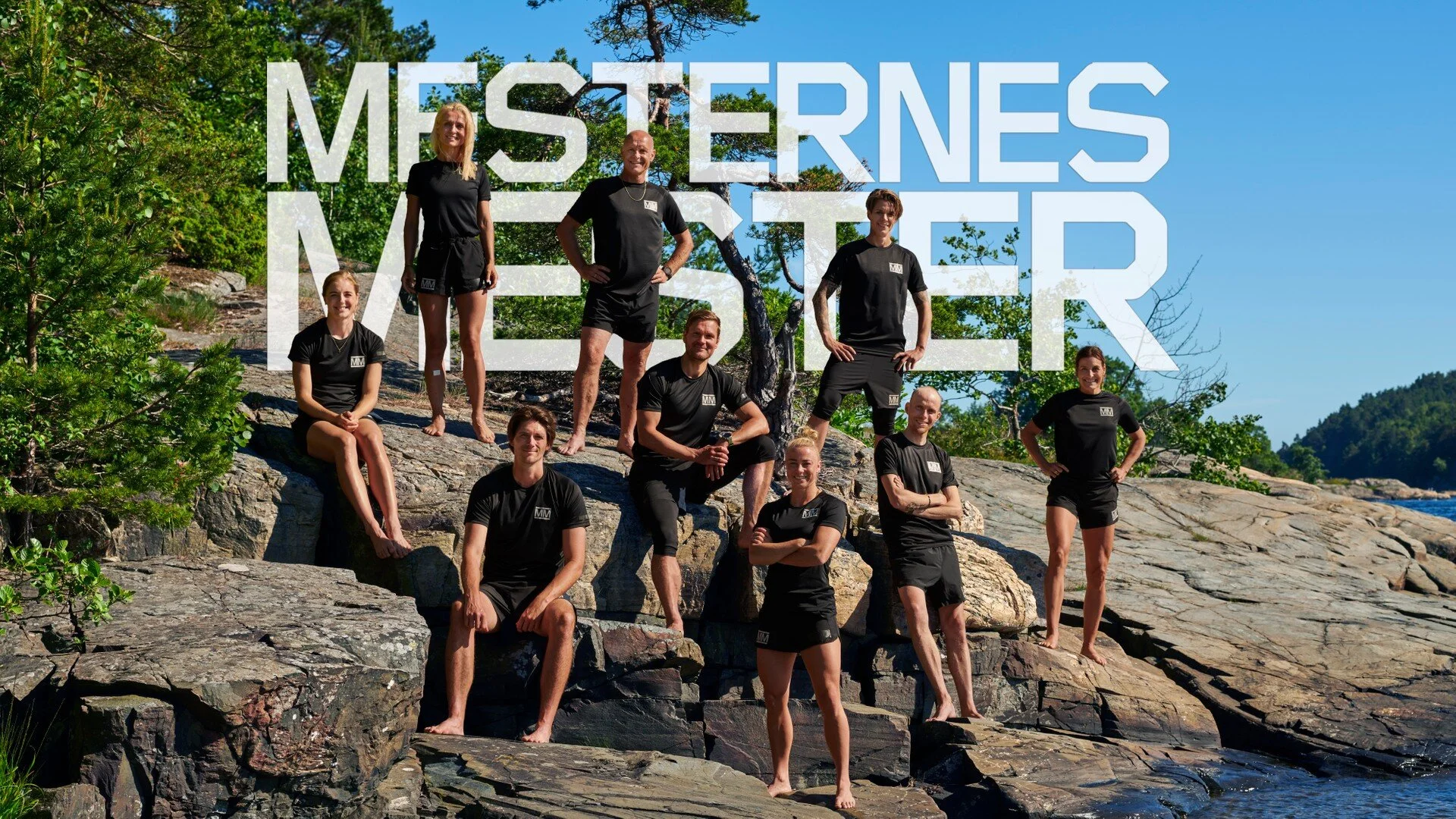 Mesternes Mester