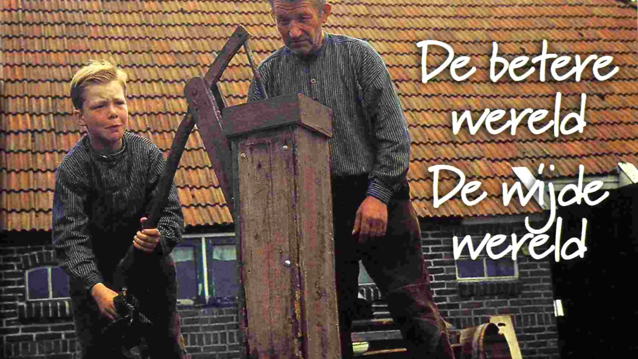 Pôster de Bartje