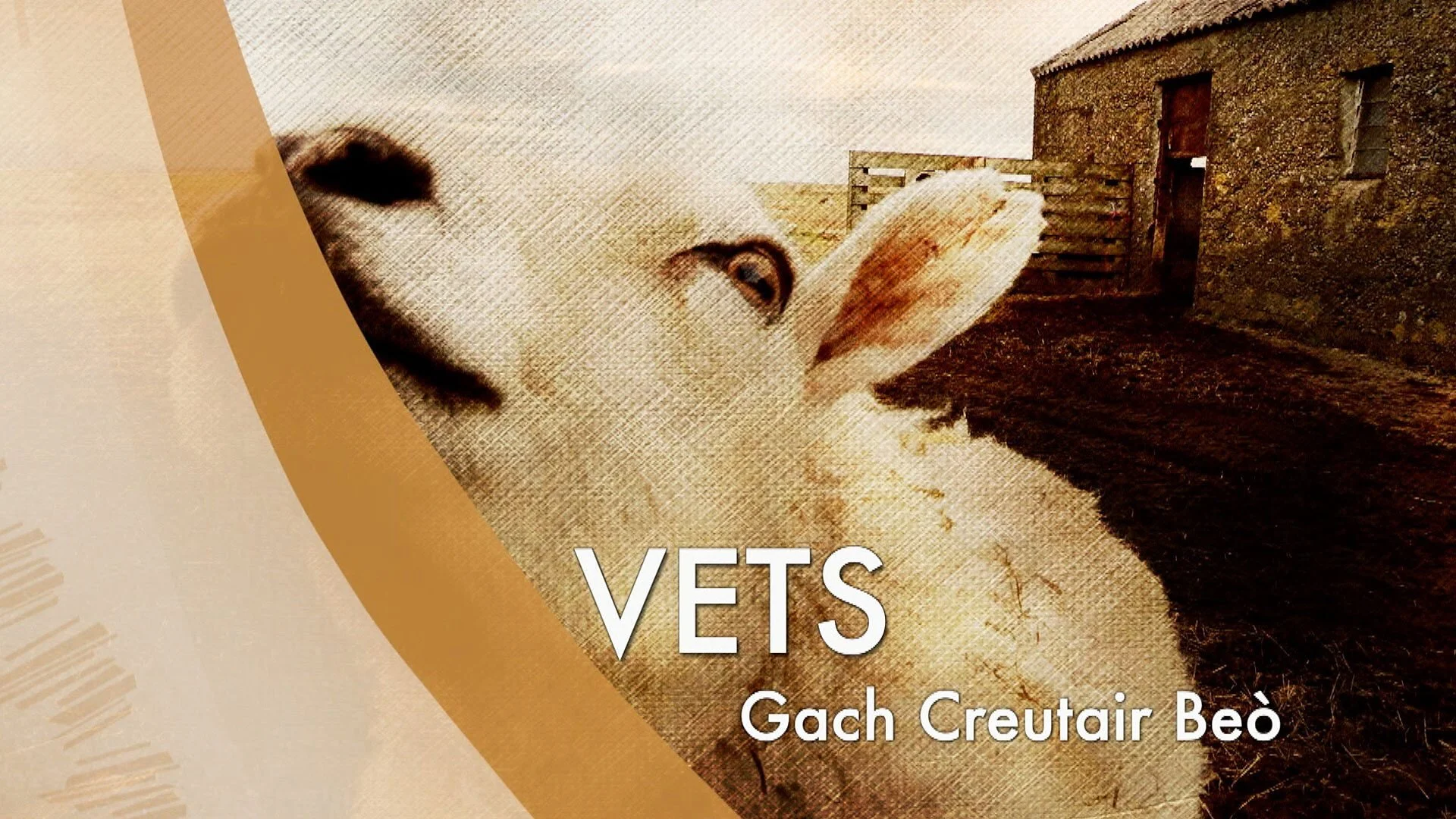Vets: Gach Creutair Beo