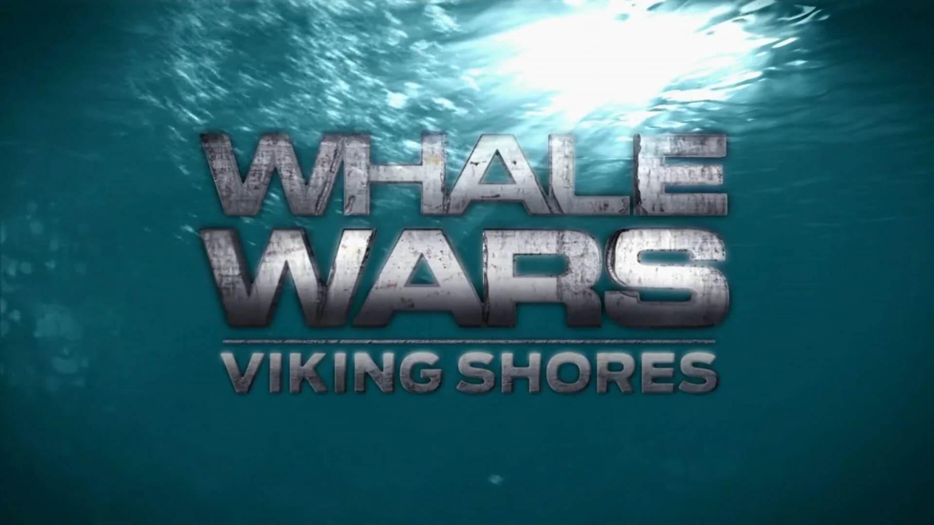 Whale Wars – Entscheidung im Nordatlantik