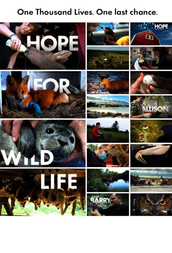 Galería 1
