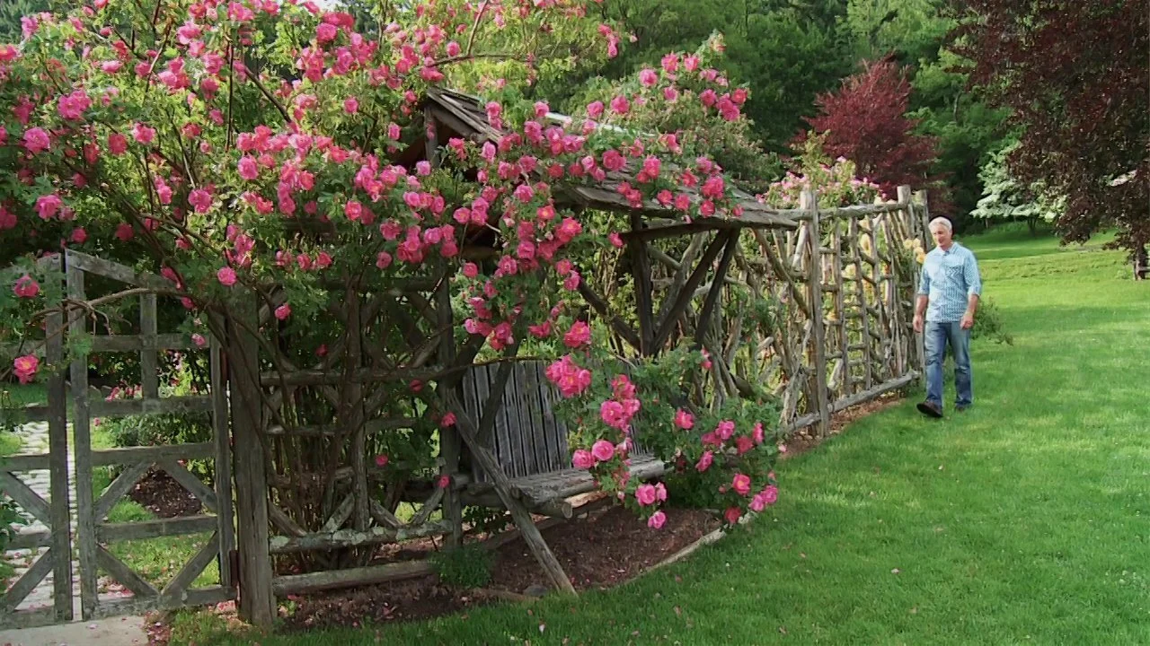 Growing a Greener World