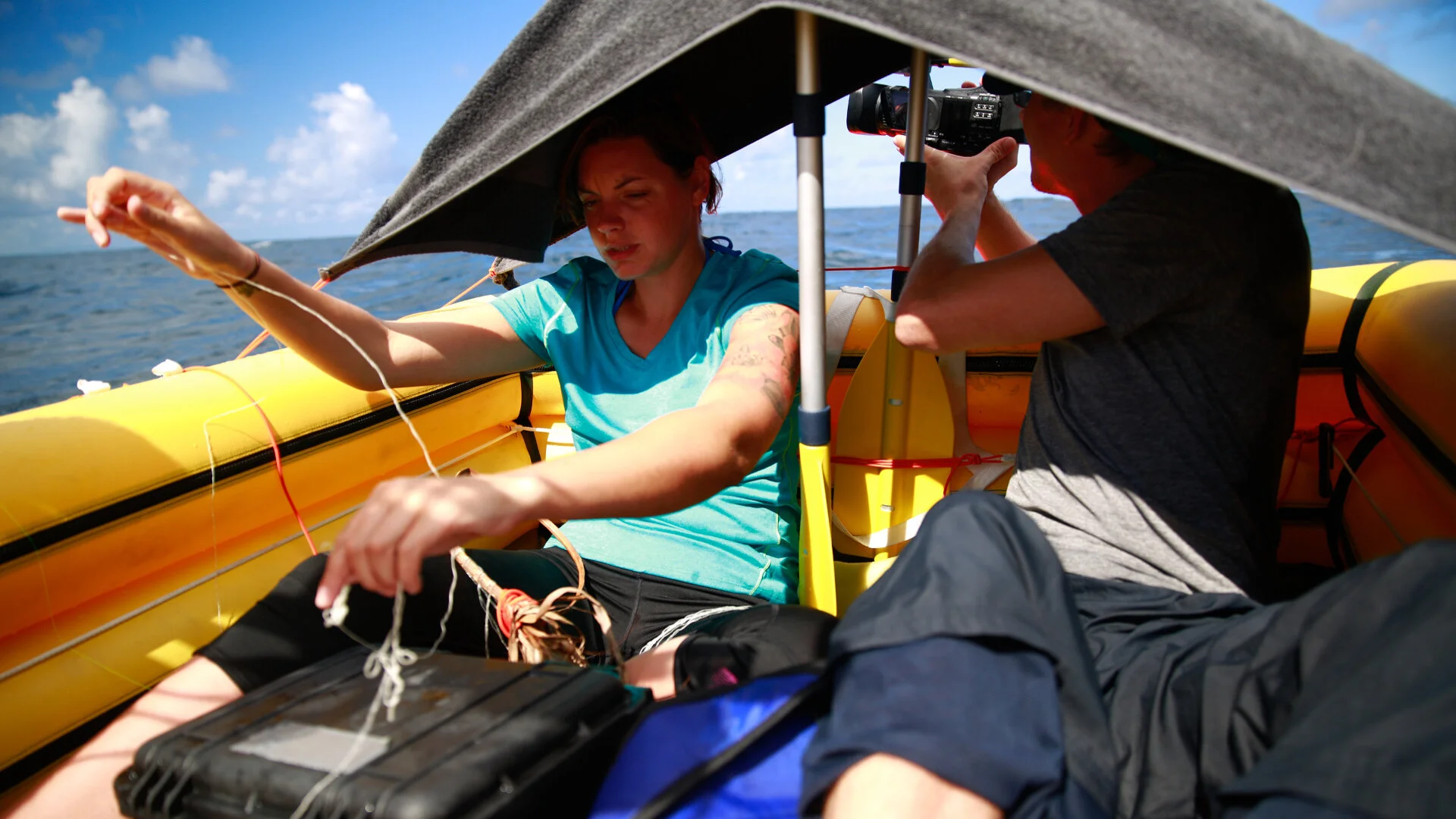 Galerie 4