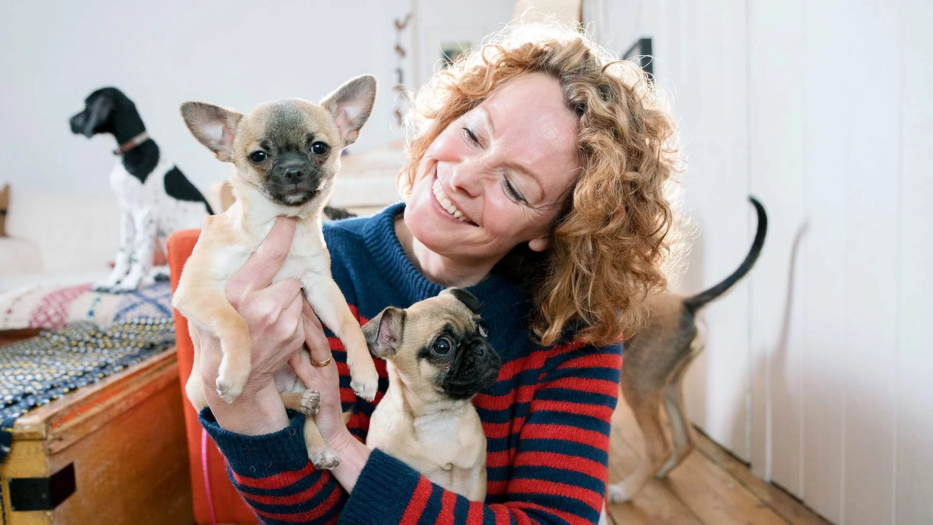 Choose the Right Puppy for You