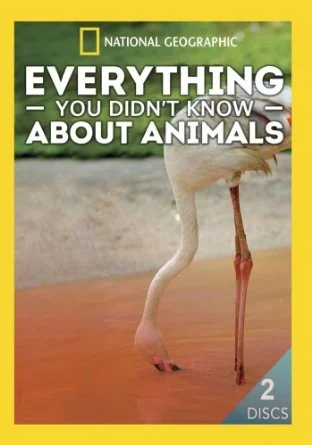 Everything You Didn't Know About Animals poster