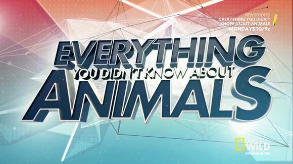 Everything You Didn't Know About Animals
