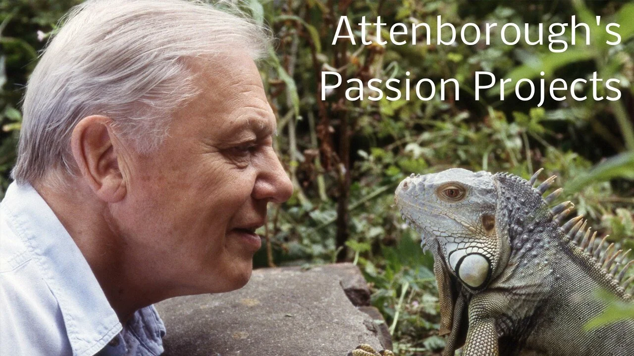 Attenborough's Passion Projects