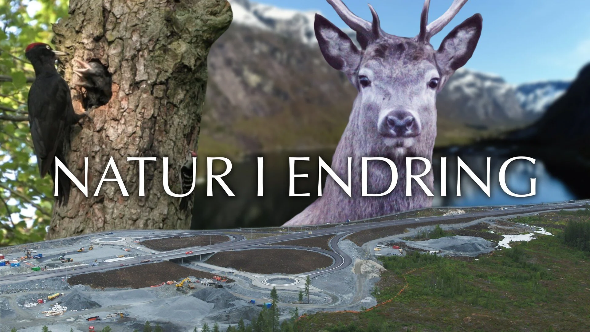 Natur i endring