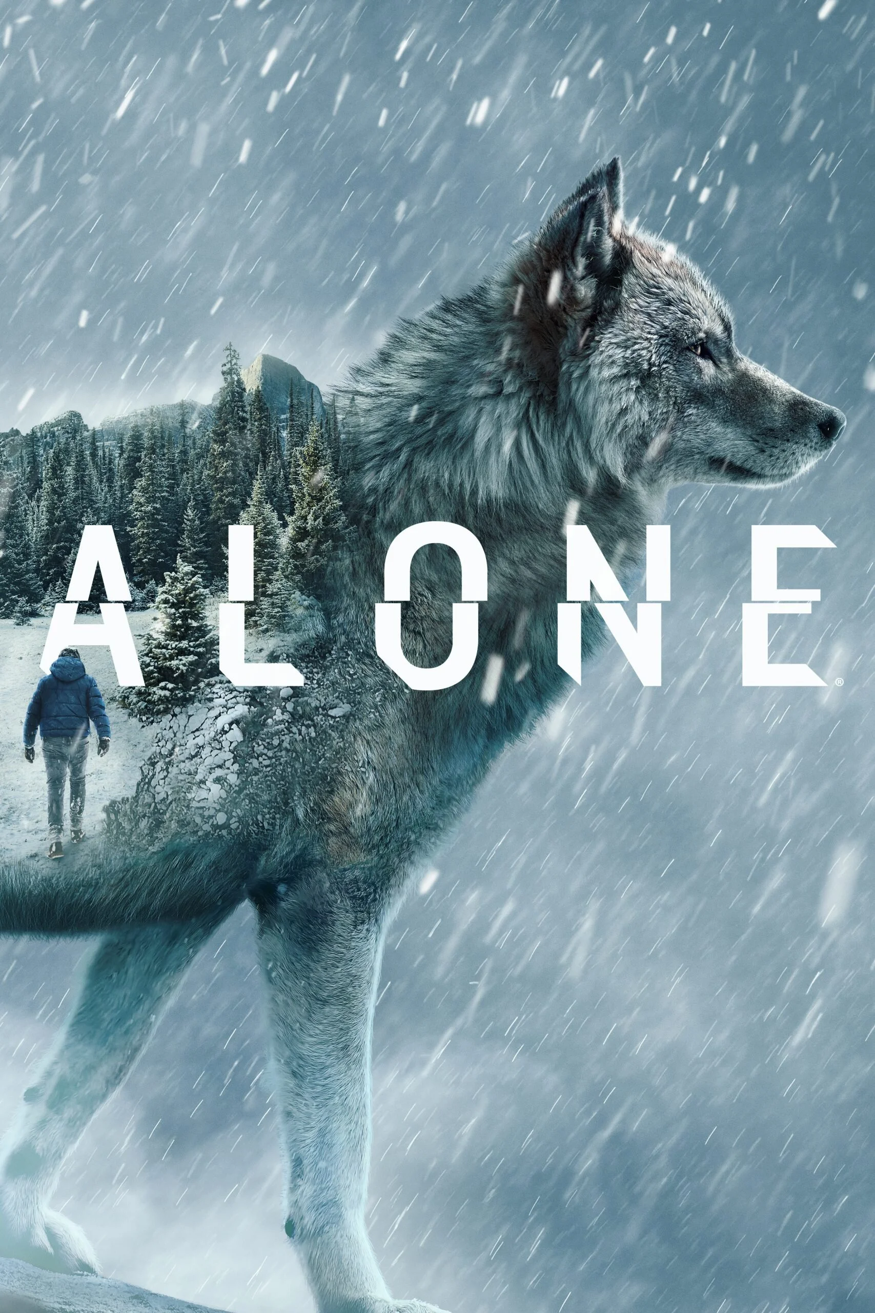 Póster de Alone