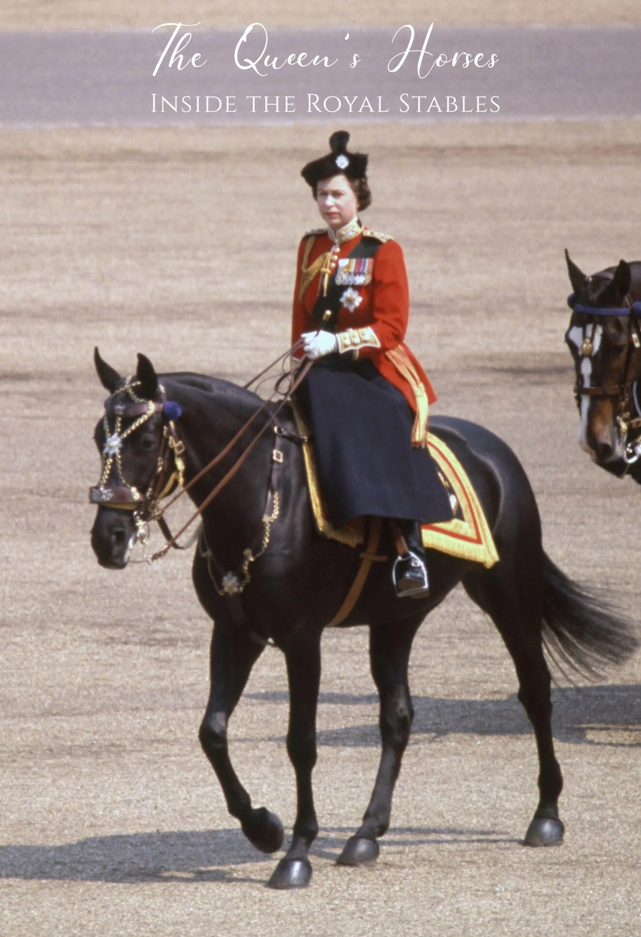 Plakat The Queen's Horses: Inside the Royal Stables