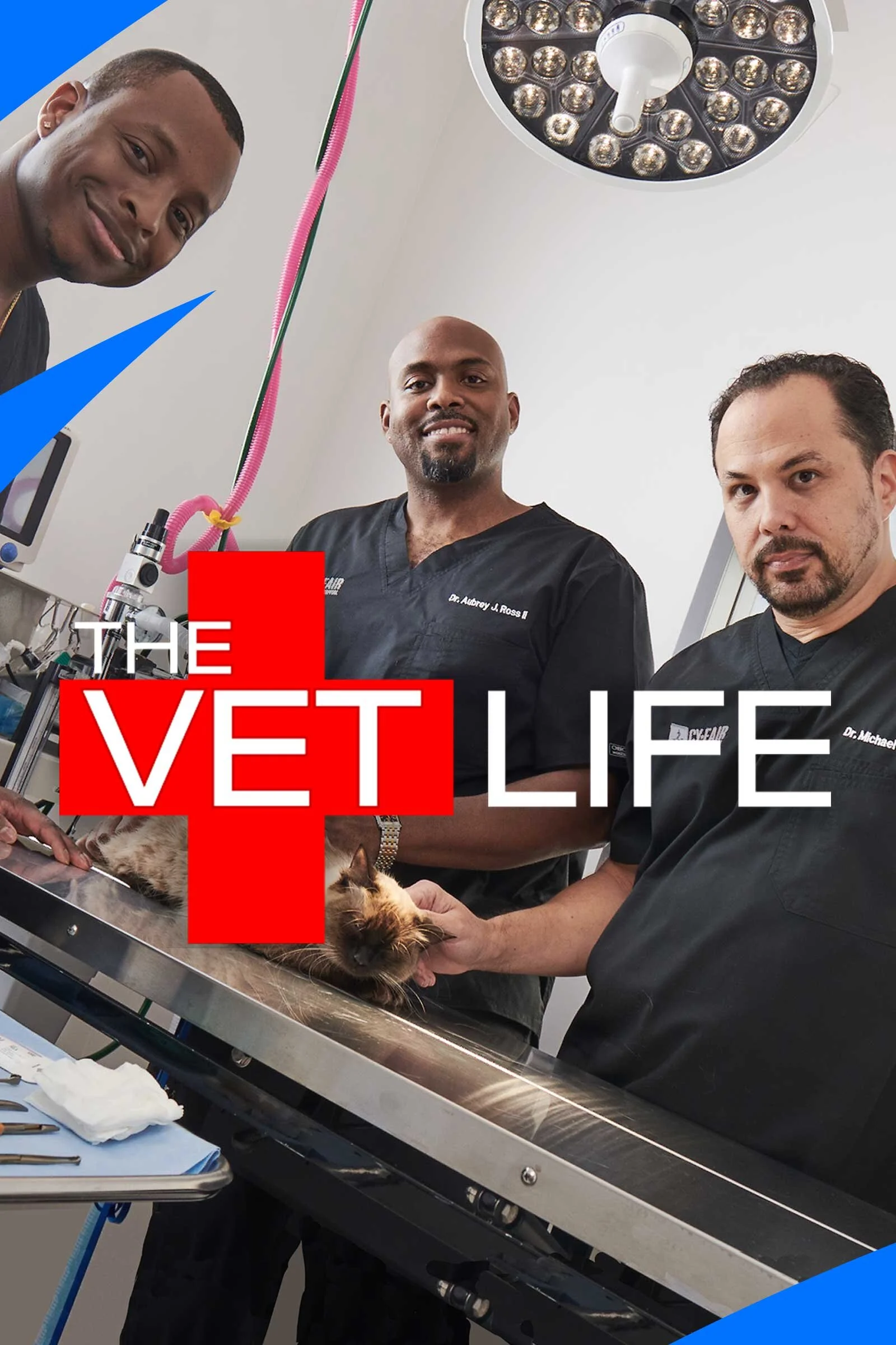 Poster di The Vet Life