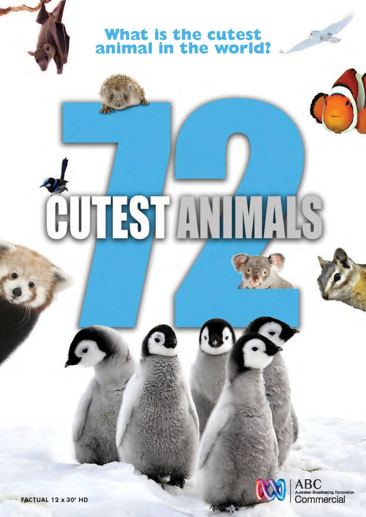 Plakat 72 cutest animals