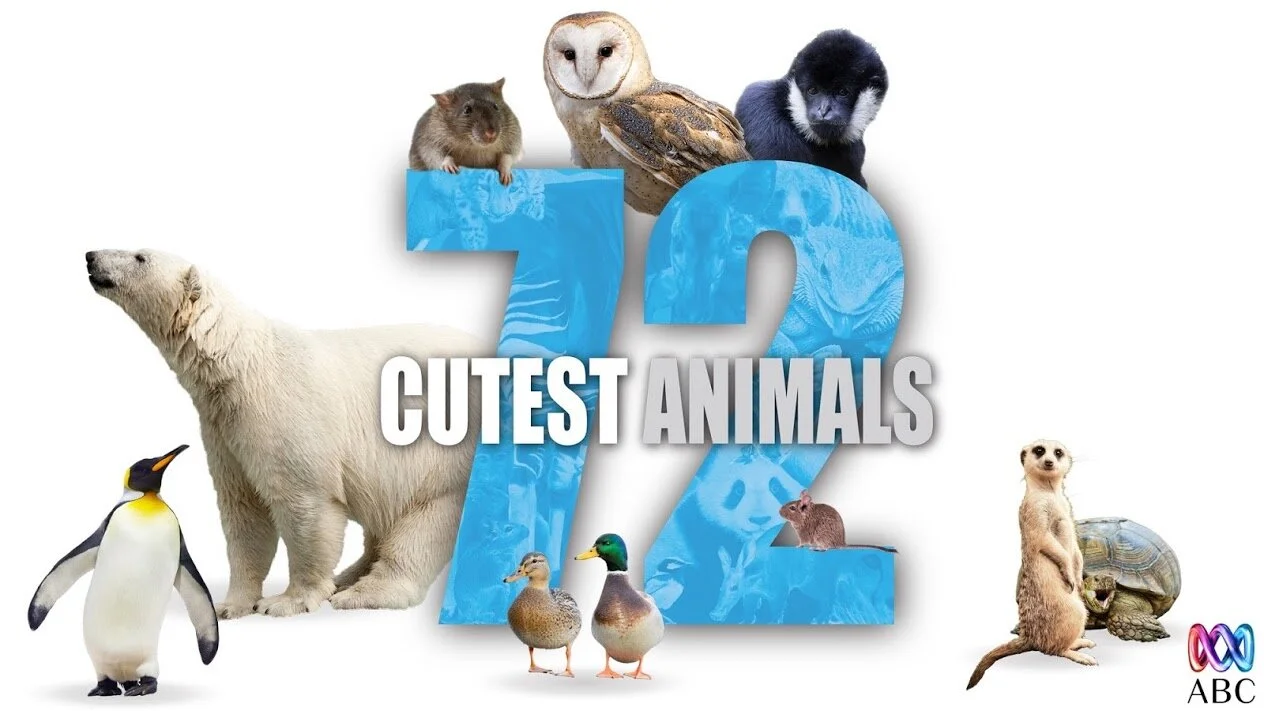 72 cutest animals