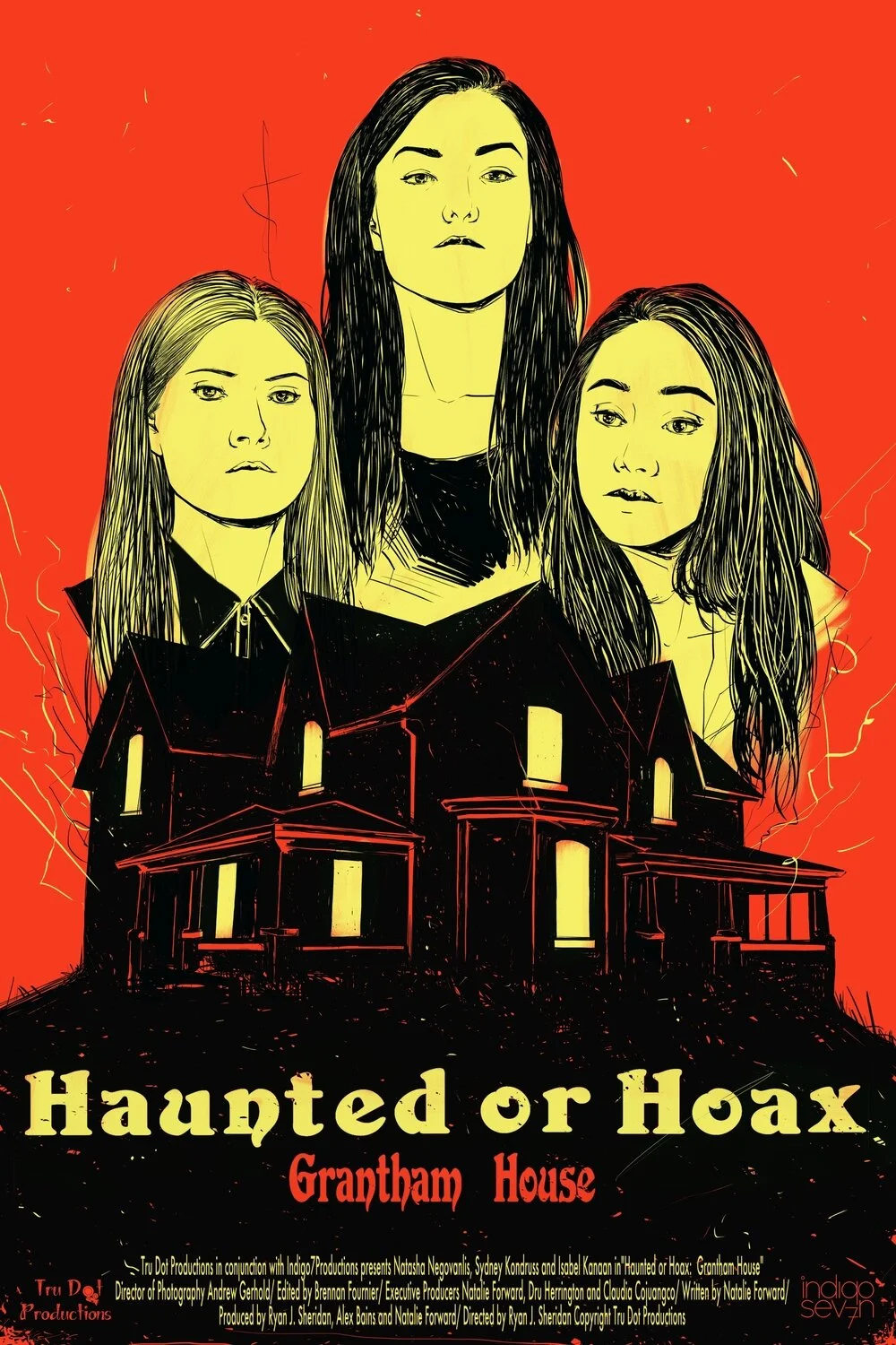 Pôster de Haunted or Hoax