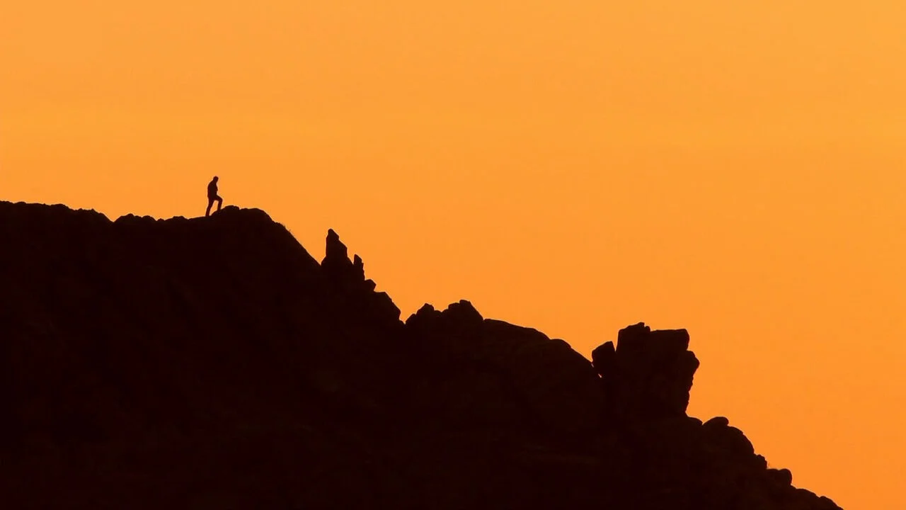 Wild France with Ray Mears