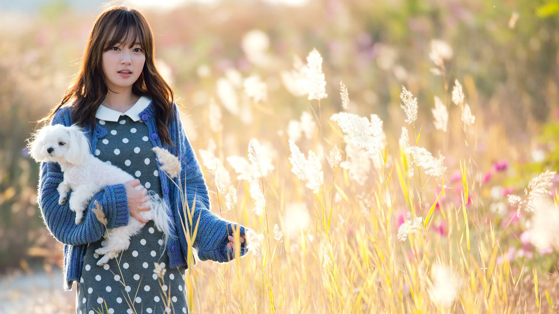 I'm Going to Touch You