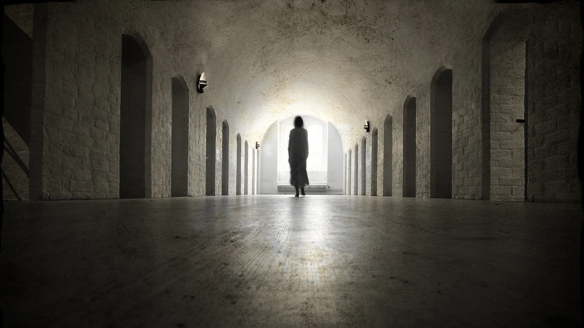 Paranormal Survivor