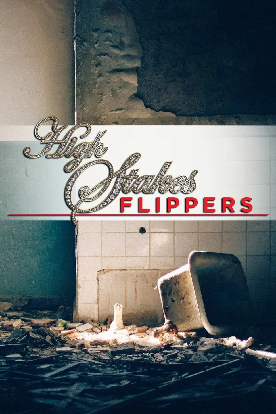 High Stakes Flippers afişi