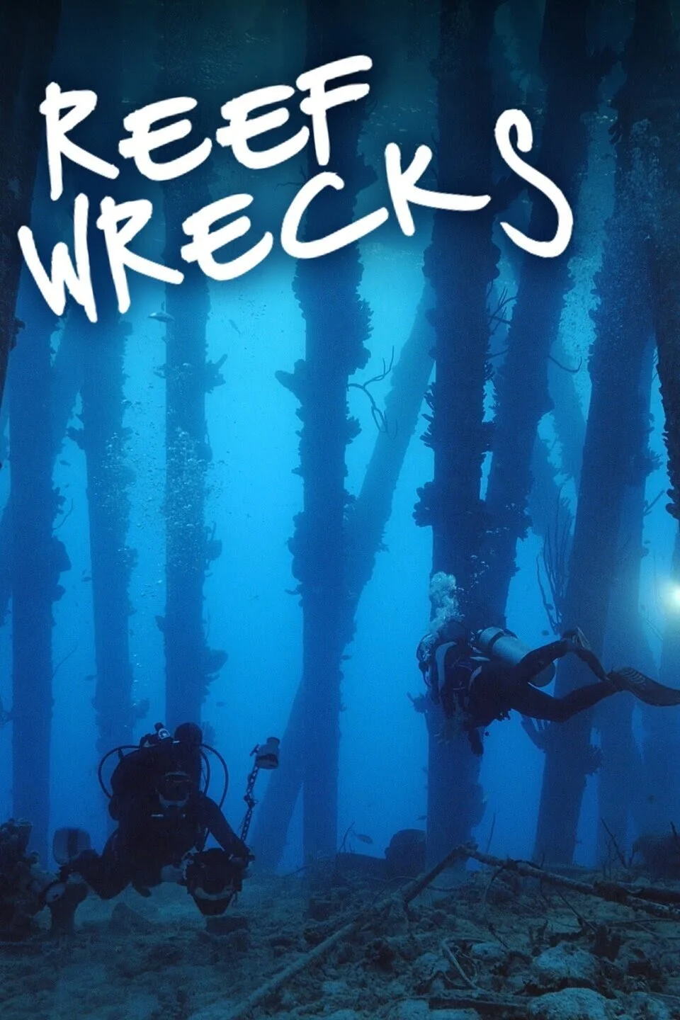 Plakat Reef Wrecks